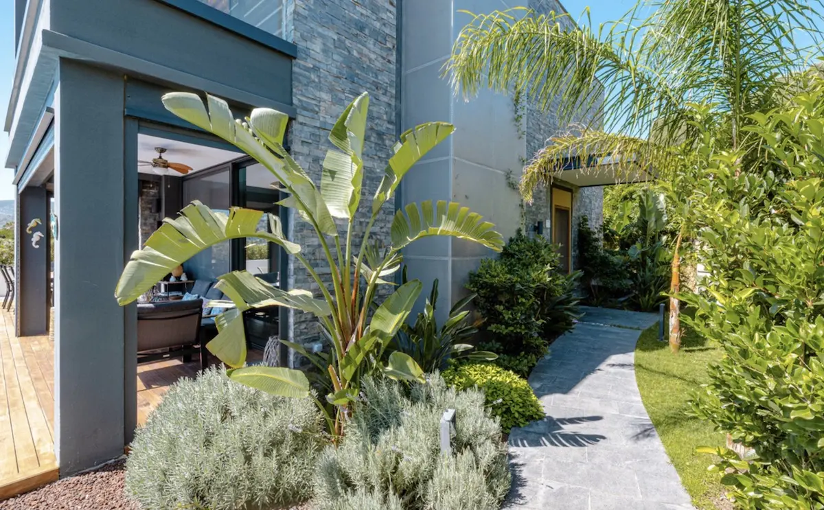 Mature garden